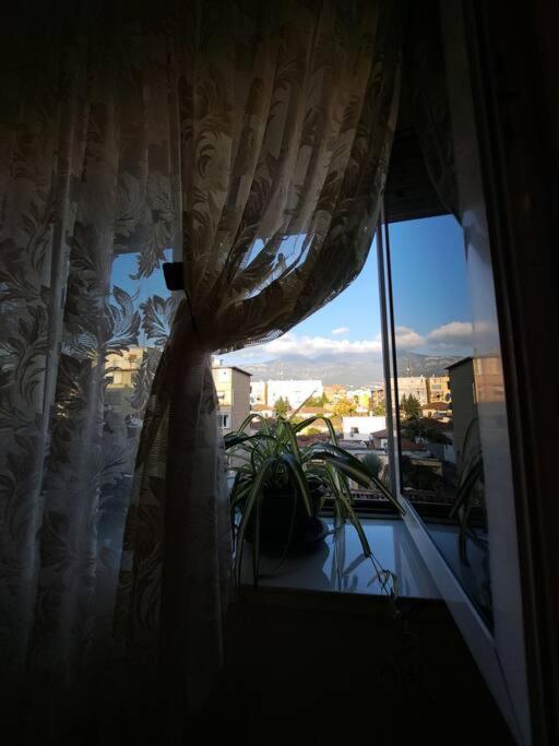 Quiet, Cozy, Luminous Apartment Tirana Exterior photo